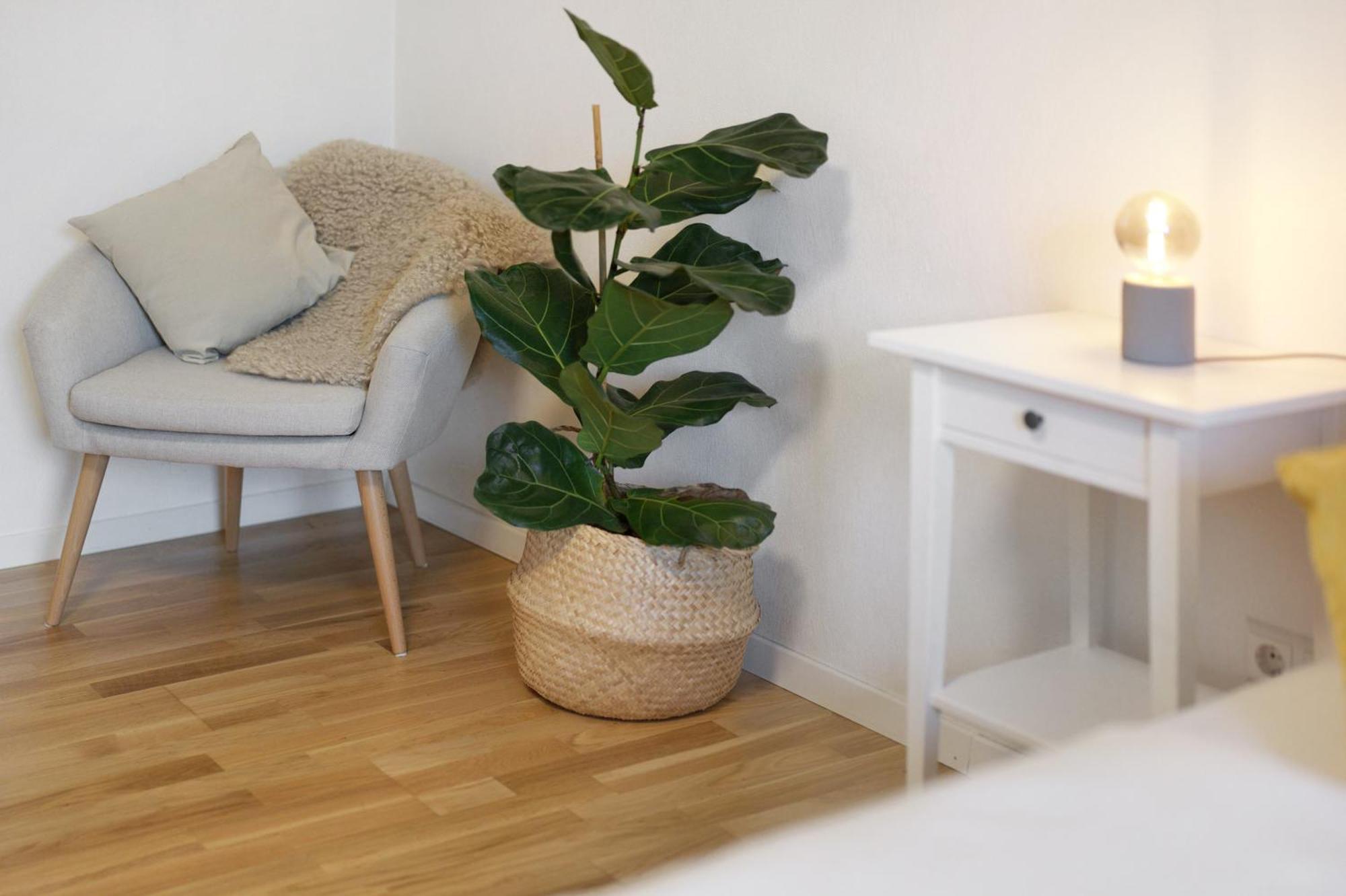 Apartment Obsthof Fiess